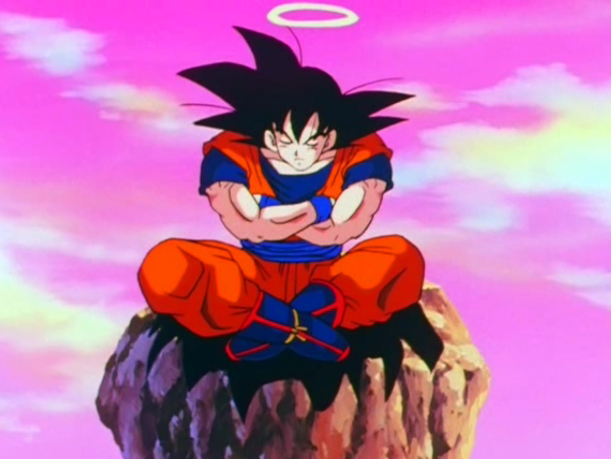 Goku Meditates atop a mountain