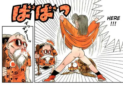 bulma flashes kame sennin turtle hermit master roshi dragon ball manga